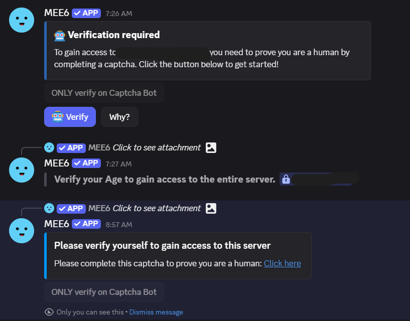 Fake Discord Captcha Bot message